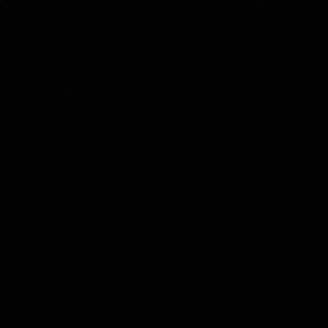 Meet your Posher, Georgia